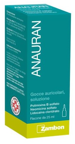 ANAURAN*GTT AURIC FL 25ML - Farmacia Puddu Baire S.r.l.