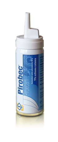 PIROBEC*CUT SCHIUMA 50G 1% - Farmacia Puddu Baire S.r.l.