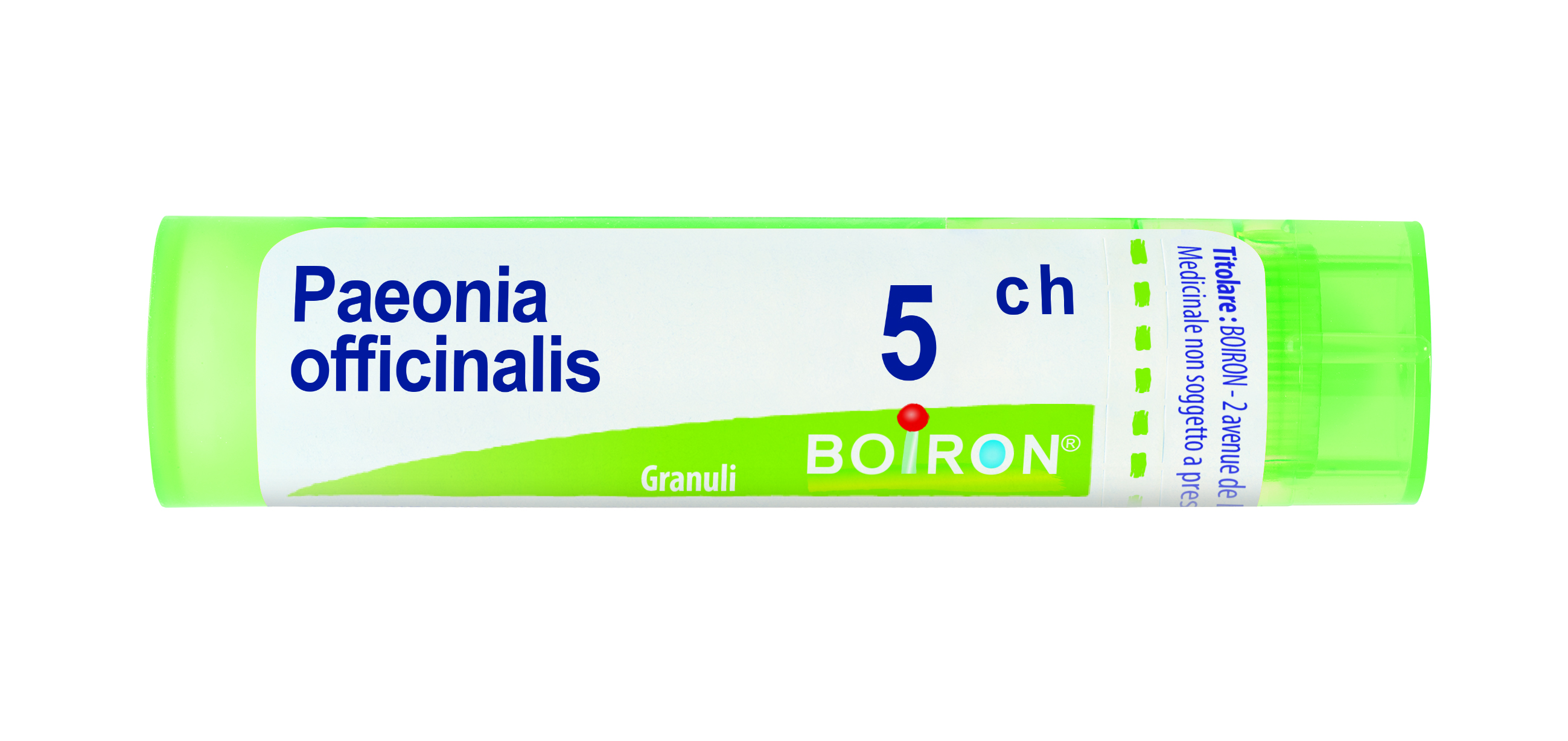 PAEONIA OFFICINALIS*5CH 80GR - Farmacia Puddu Baire S.r.l.