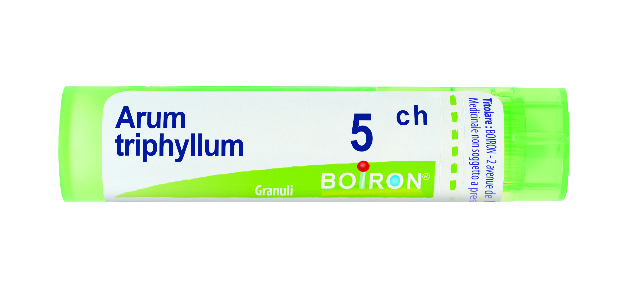 ARUM TRIPHYLLUM*5CH 80GR 4G - Farmacia Puddu Baire S.r.l.