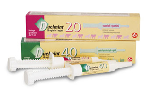 DUELMINT 20*ROSA SIR 15ML - Farmacia Puddu Baire S.r.l.