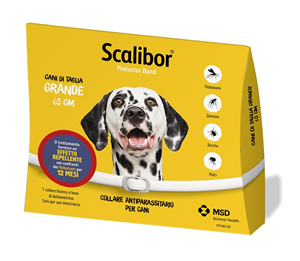 SCALIBOR PROTECTOR BAND*BI65CM - Farmacia Puddu Baire S.r.l.