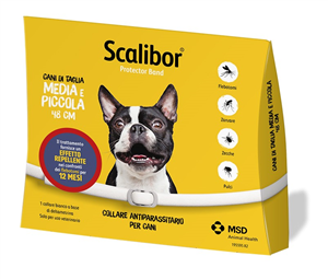 SCALIBOR PROTECTOR BAND*BI48CM - Farmacia Puddu Baire S.r.l.