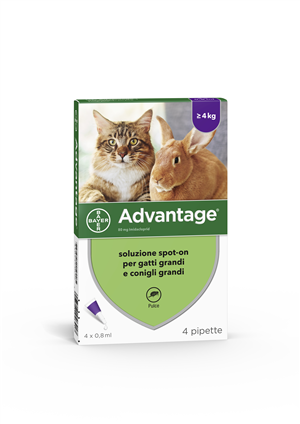 ADVANTAGE*4PIP 0,8ML SPOTON - Farmacia Puddu Baire S.r.l.
