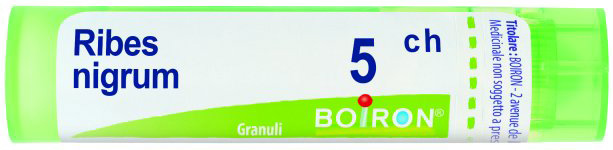 RIBES NIGRUM 5CH GRANULI - Farmacia Puddu Baire S.r.l.