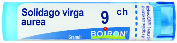 SOLIDAGO VIRGA AUREA 9CH GRANULI - Farmacia Puddu Baire S.r.l.