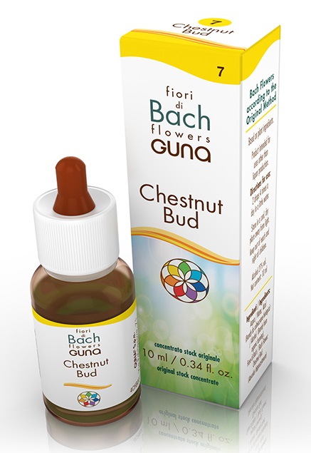CHESTNUT BUD GOCCE 10 ML - Farmacia Puddu Baire S.r.l.
