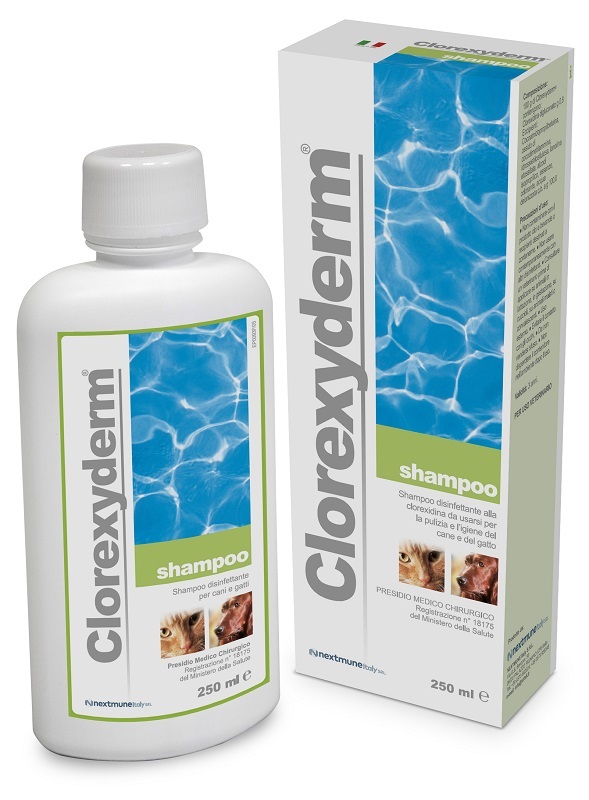 CLOREXYDERM SHAMPOO 250 ML - Farmacia Puddu Baire S.r.l.