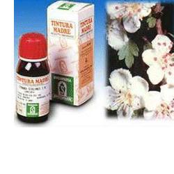 BIANCOSPINO 10 50ML TM - Farmacia Puddu Baire S.r.l.