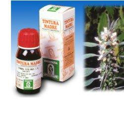 CARDIACA 16 50ML TM - Farmacia Puddu Baire S.r.l.