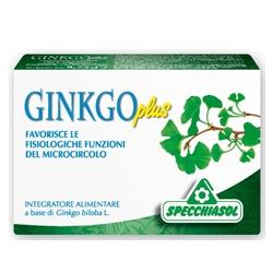 GINKGO PLUS 30 CAPSULE - Farmacia Puddu Baire S.r.l.