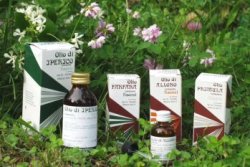 RAEMIL PRIMULA OLIO 25 ML - Farmacia Puddu Baire S.r.l.