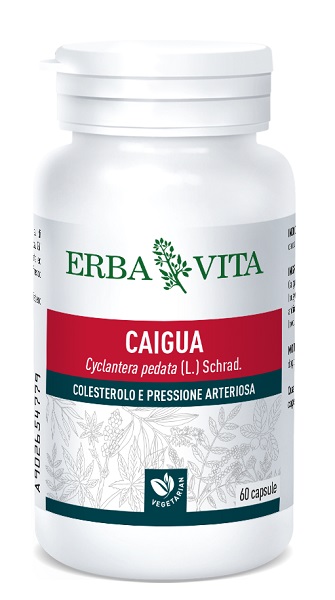 CAIGUA 60 CAPSULE 400 MG - Farmacia Puddu Baire S.r.l.