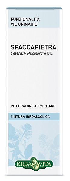 SPACCAPIETRA TINTURA IDROALCOLICA 50 ML EBV - Farmacia Puddu Baire S.r.l.