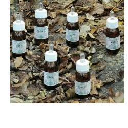 ZECALM OLIO MASSAGGIO 50 ML - Farmacia Puddu Baire S.r.l.