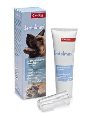 DENTALMAX GEL STOMATOLOGICO 50 ML - Farmacia Puddu Baire S.r.l.