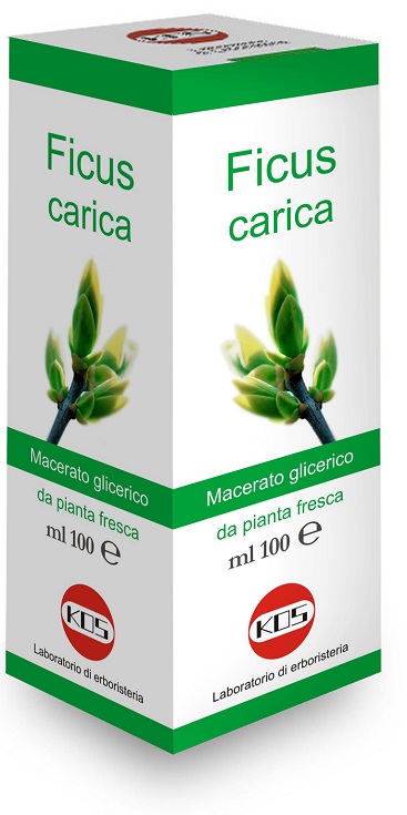 FICUS CARICA MACERATO GLICERICO 100 ML - Farmacia Puddu Baire S.r.l.