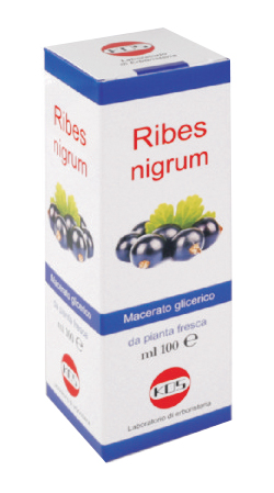 RIBES NIGRUM MACERATO GLICERICO 100 ML GOCCE - Farmacia Puddu Baire S.r.l.