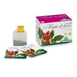 INFUSO BIO FRUTTA FRUTTI DI BOSCO 20 FILTRI - Farmacia Puddu Baire S.r.l.