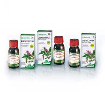 GEMMOSOL 46 TIGLIO ARGEN 50ML - Farmacia Puddu Baire S.r.l.