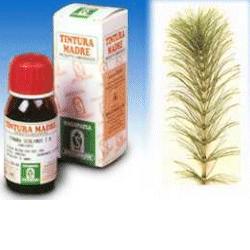 EQUISETO 12 50ML TM - Farmacia Puddu Baire S.r.l.