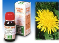 TARASSACO 28 50ML TM - Farmacia Puddu Baire S.r.l.