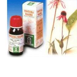 ECHINACEA 59 50ML TM - Farmacia Puddu Baire S.r.l.