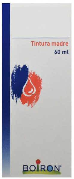 TARAXACUM TINTURA MADRE 60 ML - Farmacia Puddu Baire S.r.l.