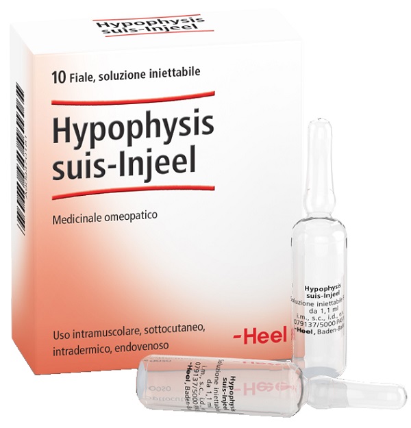 HEEL HYPOPHYSIS SUIS INJEEL 10 FIALE - Farmacia Puddu Baire S.r.l.
