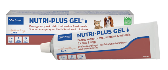 NUTRIPLUS GEL PASTA ORALE 120 G - Farmacia Puddu Baire S.r.l.