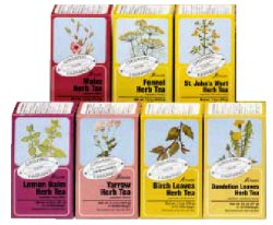 ORTICA TISANA BIO 15 FILTRI - Farmacia Puddu Baire S.r.l.