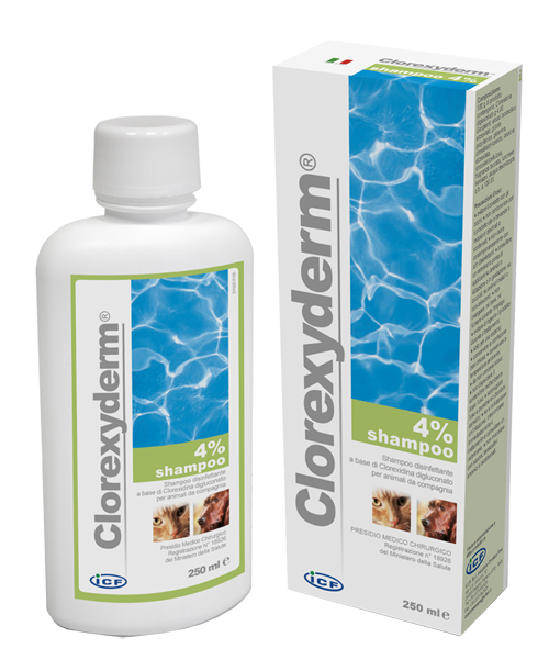 CLOREXYDERM SHAMPOO 4% 250 ML - Farmacia Puddu Baire S.r.l.