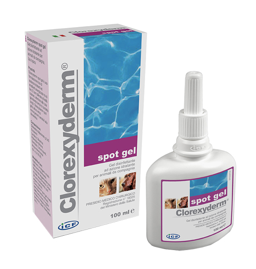 CLOREXYDERM SPOT GEL 100ML - Farmacia Puddu Baire S.r.l.