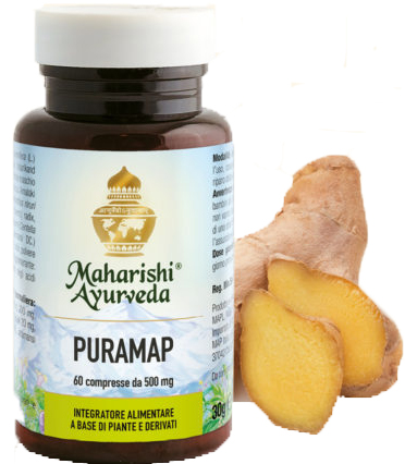 PURAMAP 60 COMPRESSE - Farmacia Puddu Baire S.r.l.