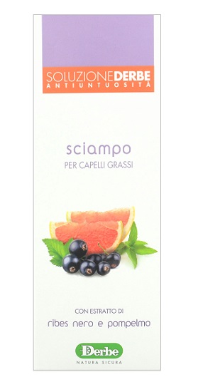 DERBE SHAMPOO ANTI UNTUOSITA - Farmacia Puddu Baire S.r.l.