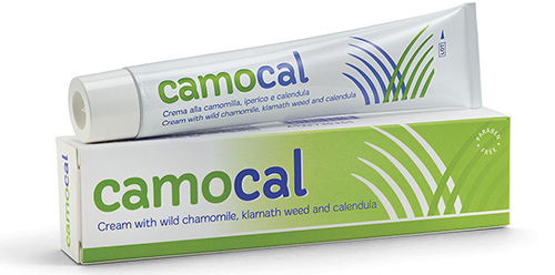 CREMA VEGETALE PER LE AFFEZIONI ANALI CAMOCAL 50 ML - Farmacia Puddu Baire S.r.l.
