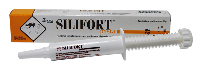 SILIFORT PASTA OS SIRINGA 15 G - Farmacia Puddu Baire S.r.l.