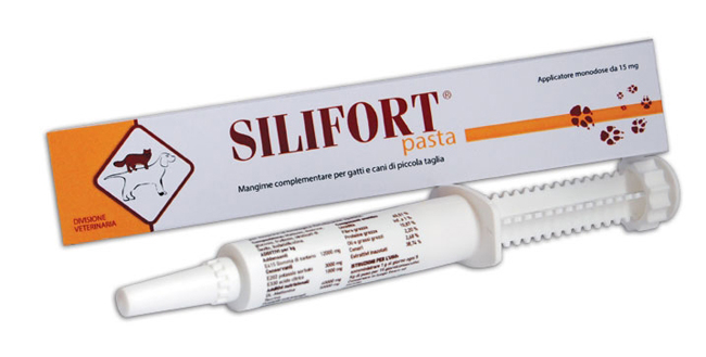 SILIFORT PASTA OS SIRINGA 30 G - Farmacia Puddu Baire S.r.l.