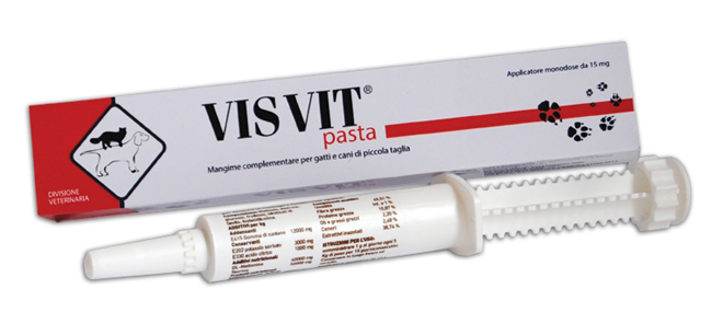 VISVIT PASTA OS SIRINGA 15 G - Farmacia Puddu Baire S.r.l.