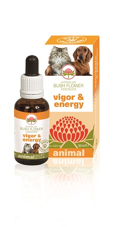 VIGOR & ENERGY 30 ML - Farmacia Puddu Baire S.r.l.