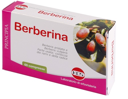 BERBERINA DA BERBERIS VULGARIS ESTRATTO SECCO 60 COMPRESSE - Farmacia Puddu Baire S.r.l.