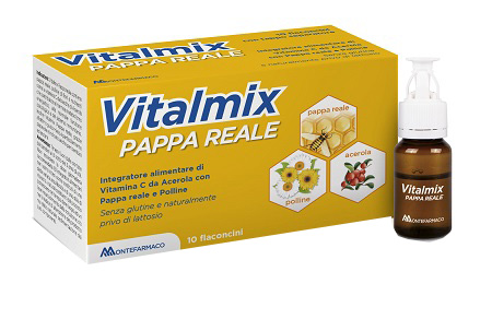 VITALMIX PAPPA REALE 10FLACONCINI X10 ML S/GL - Farmacia Puddu Baire S.r.l.