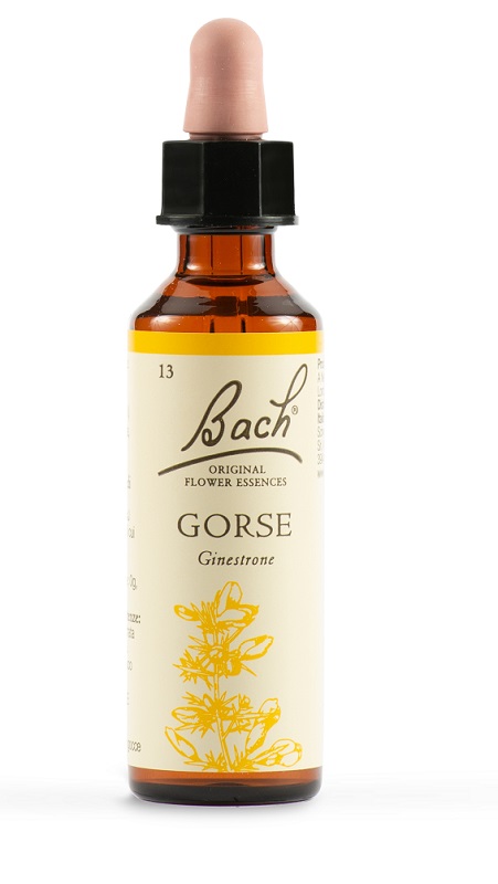 GORSE BACH ORIG 20 ML - Farmacia Puddu Baire S.r.l.