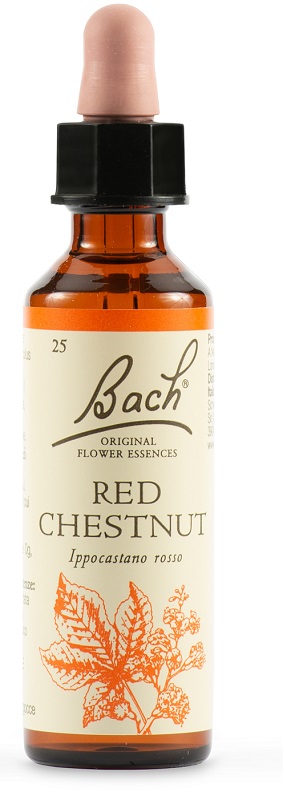 RED CHESTNUT BACH ORIG 20 ML - Farmacia Puddu Baire S.r.l.