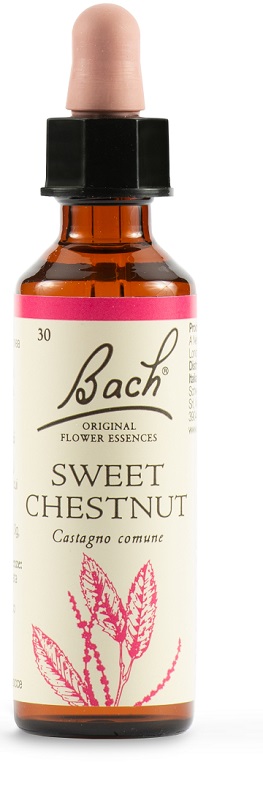 SWEET CHEST BACH ORIG 20 ML - Farmacia Puddu Baire S.r.l.