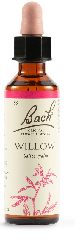 WILLOW BACH ORIG 20 ML - Farmacia Puddu Baire S.r.l.