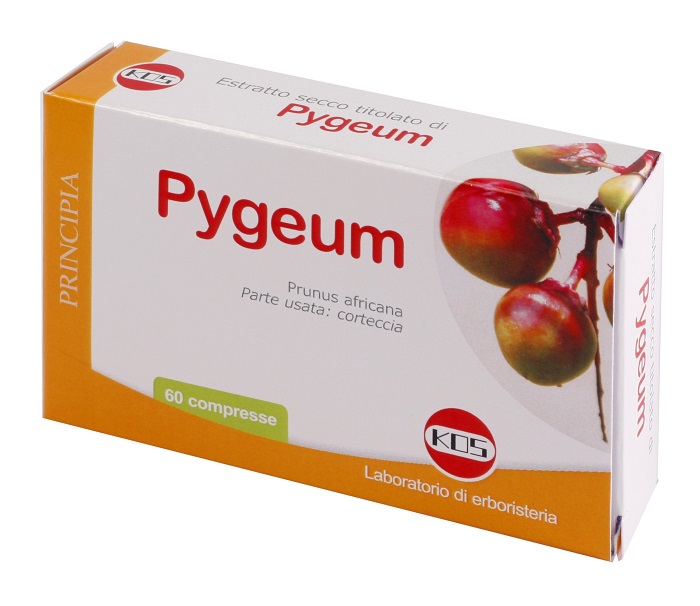 PYGEUM ESTRATTO SECCO 60 COMPRESSE - Farmacia Puddu Baire S.r.l.