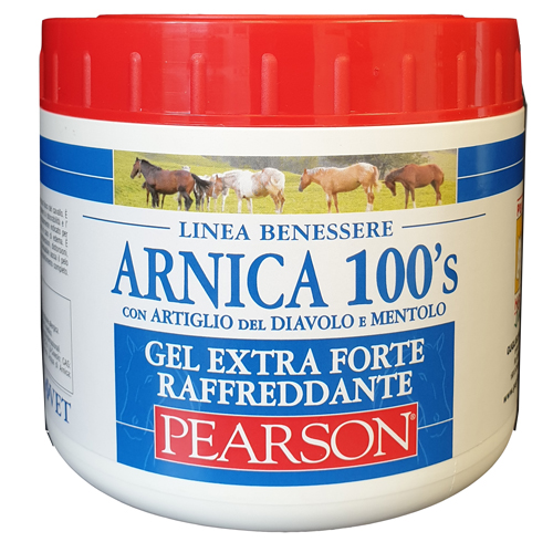 ARNICA 100'S EXTRA FORTE 500 ML - Farmacia Puddu Baire S.r.l.