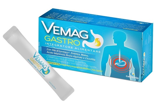 VEMAG GASTRO 20 STICK - Farmacia Puddu Baire S.r.l.