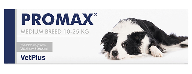 PROMAX MEDIUM BREED 18 ML - Farmacia Puddu Baire S.r.l.